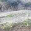 AGROSPEED 17G - 3,2X10M