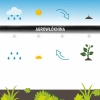 AGROSTOP 50G - 3,2X5M